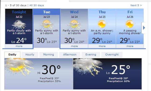 How To Get Around Canggu Without A Car?