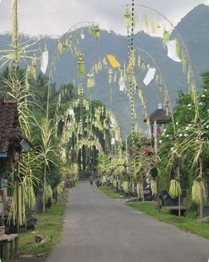 Ubud Rice Terraces Hiking Trail Information