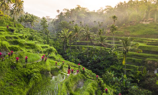 Seminyak Cafes With Artisan Pastries