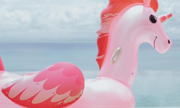 Local Markets In Seminyak For Organic Products