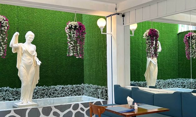 Pet Friendly Budget Hotels Seminyak Bali