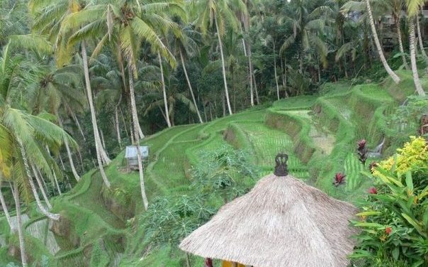 Seminyak Car Hire For Beach Trips