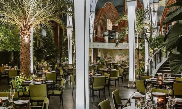 Stylish Coworking Spaces In Canggu For Social Media Influencers