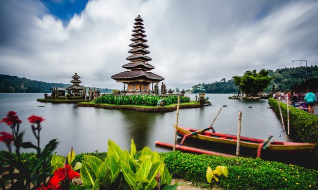 Best Vegan Restaurants In Canggu