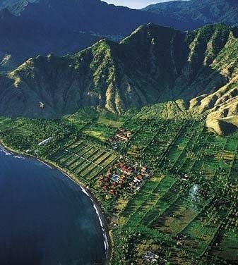 Canggu Travel Safety And Emergency Contacts