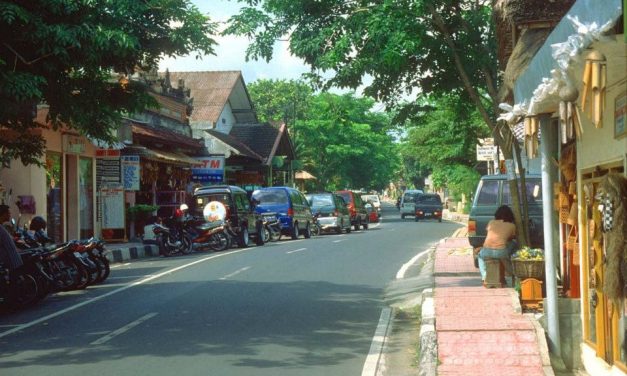 Top Vegan Friendly Cafes In Canggu