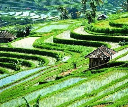 Seminyak Luxury Beachfront Hotels With Ocean Views