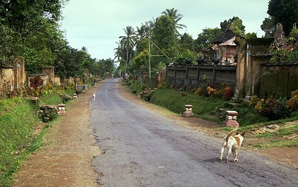 Best Ways To Get Around Bali