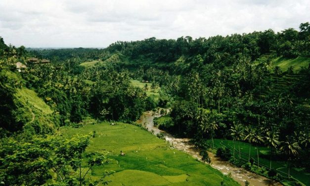 Must Visit Hidden Temples In Ubud