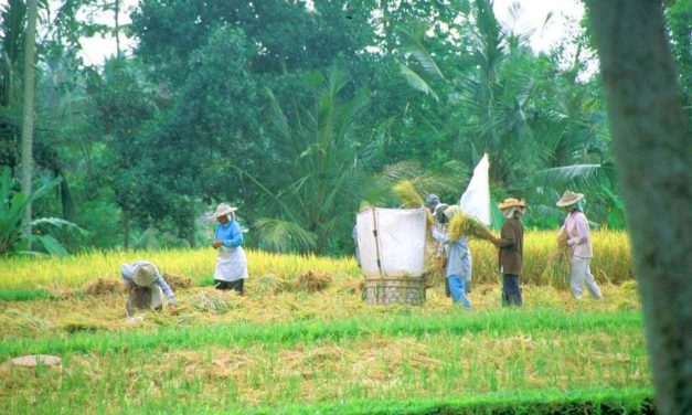 Bali Temple Tours For Spiritual Awakening