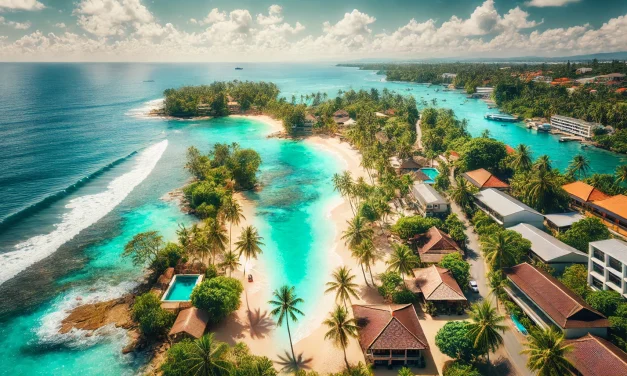 Popular Seafood Restaurants In Canggu