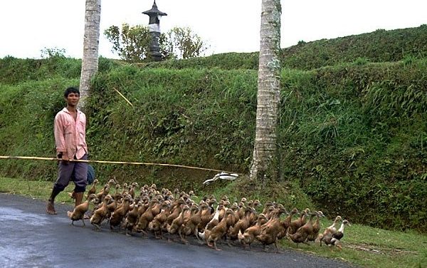 Tanah Lot Temple And Its Historical Significance