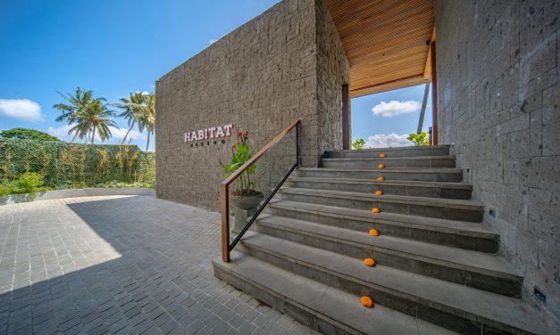 Ubud Day Trips From Seminyak: Explore Bali’s Cultural Heart