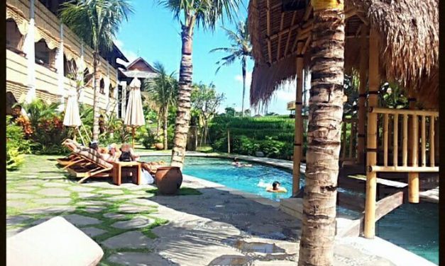 Cheap Boutique Hotels In Ubud