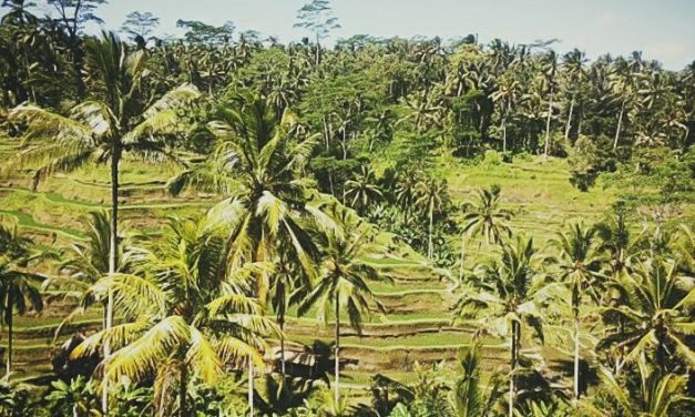 Top Coworking Spaces In Bali For Remote Workers