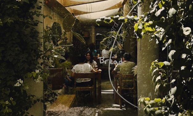 Guided Eco Tours In Bali For Adventure Seekers