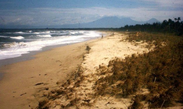 Seminyak Temple Visit Reviews And Recommendations