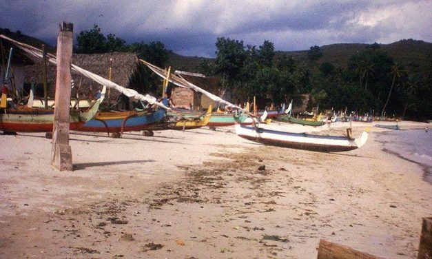 Family Oriented Events In Canggu