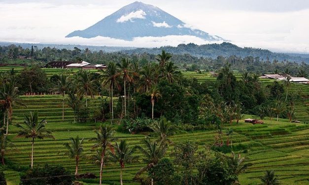 Kuta Bike Rental With Insurance