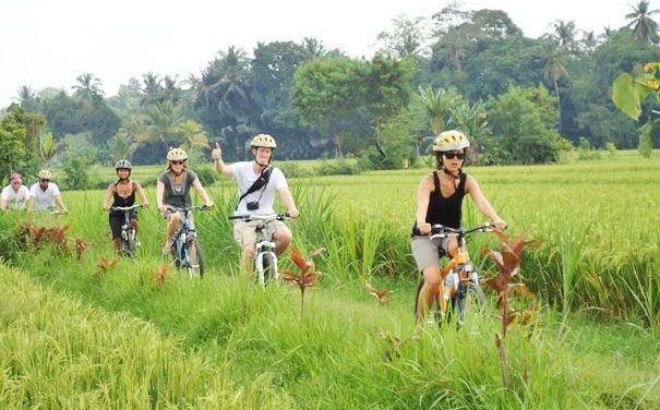 Kuta Nightlife Reviews From Locals