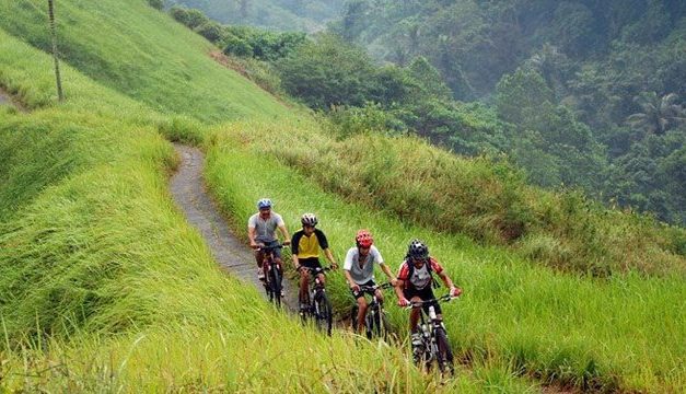 Canggu Local Culture Events And Festivals