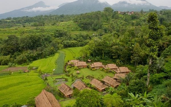 Seminyak Halal Food Tour Guide