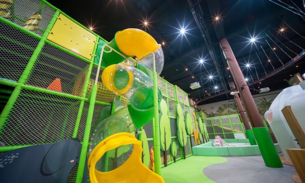 Marine Life Festivals And Events In Bali