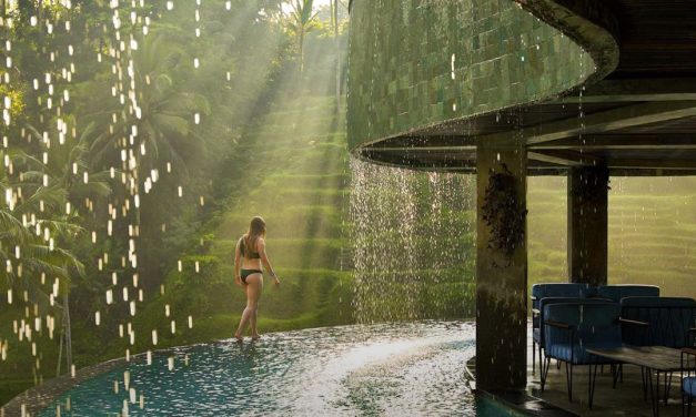 Best Sushi Restaurants In Seminyak