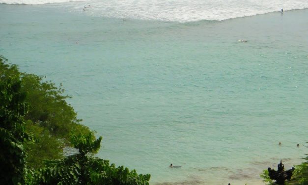 Seminyak Vegan Dining Options
