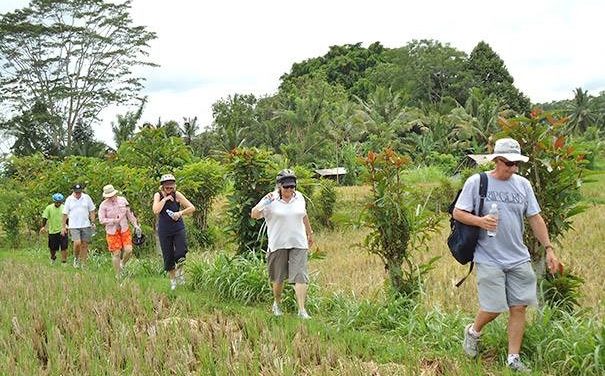 Walking Tours Of Canggu Markets