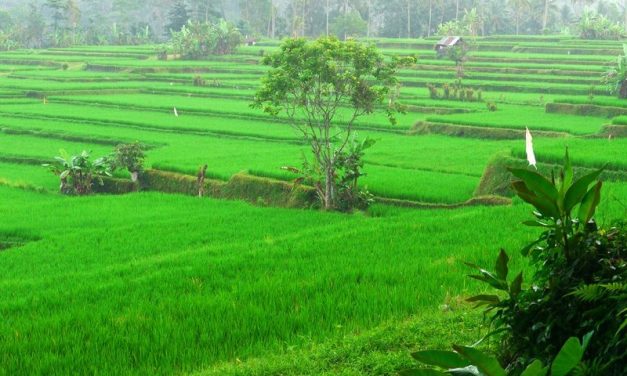 Bali’s Best Kept Secrets For First Time Visitors