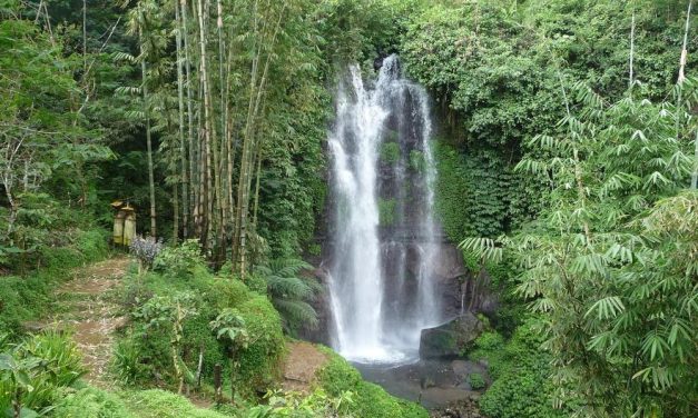 Local Cuisine Dining Spots In Canggu