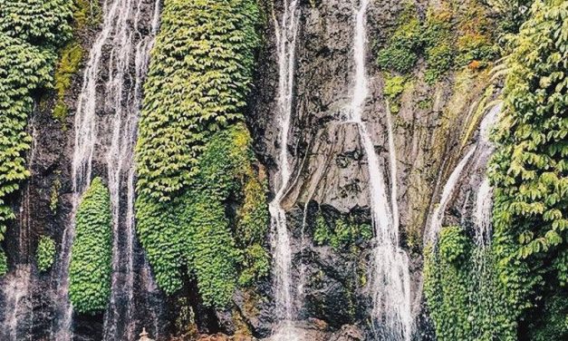 Top Wildlife Parks In Bali