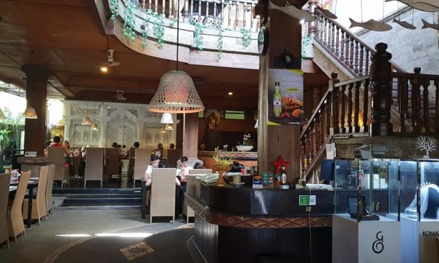 Educational Tours About Bali Marine Life