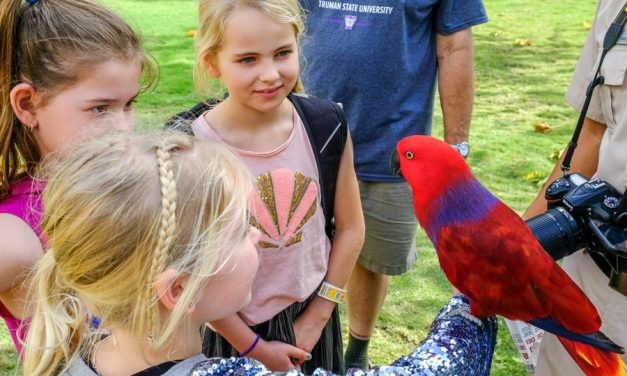 Ubud Artisan Markets For Handmade Crafts