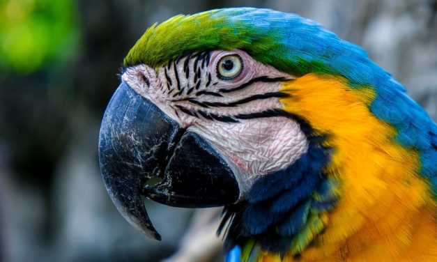 Budget Friendly Coffee Shops In Seminyak