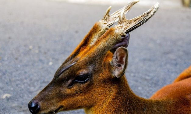 Bali Beaches Ideal For Remote Work