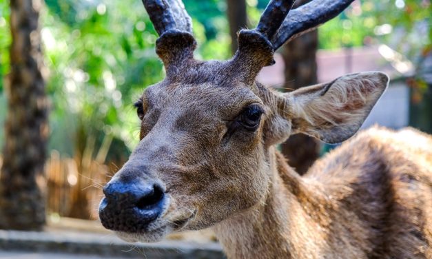 Romantic Rooftop Bars In Seminyak