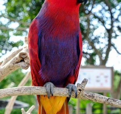 Bali Backpacking Essentials Checklist