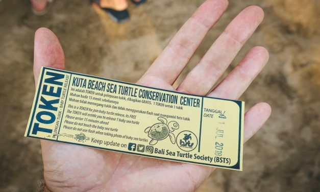 Family Friendly Shopping Malls Seminyak