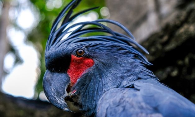 Kuta Beach Personal Safety Precautions