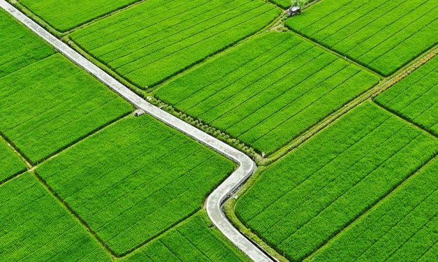 Affordable Transportation Options In Kuta