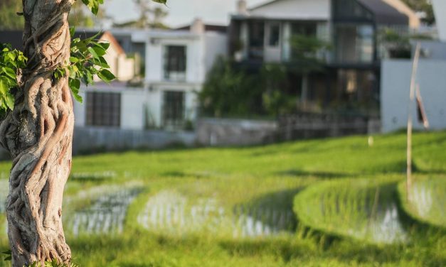 Bali Wildlife Conservation Activities