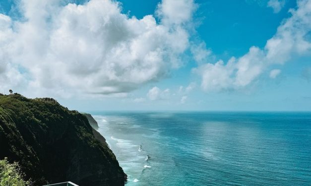 Bali Wildlife Observation Cruise Tours