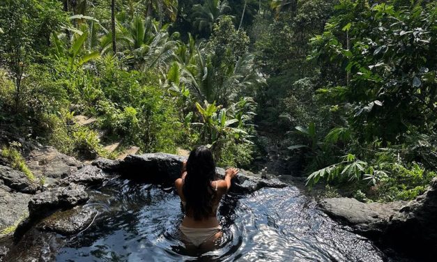 Affordable Vegan Dining Options In Canggu