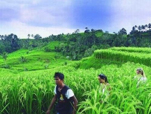 Ubud Temples And Their Cultural Significance