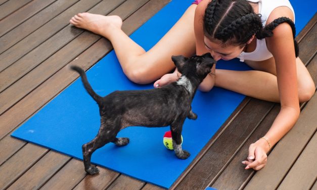 Top Holistic Healing Centers In Bali