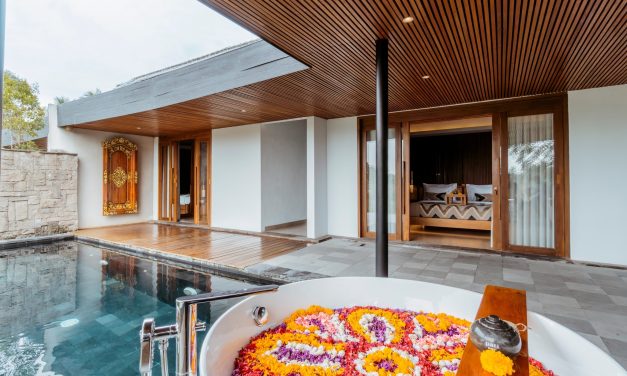 Bali Snorkeling Cruise Tours And Activities