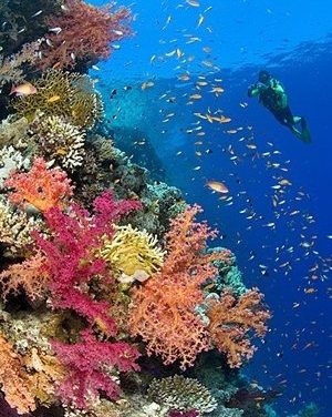 Kuta Weather Forecast For The Week Ahead