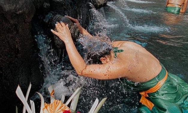 Organic Spa Therapies Seminyak